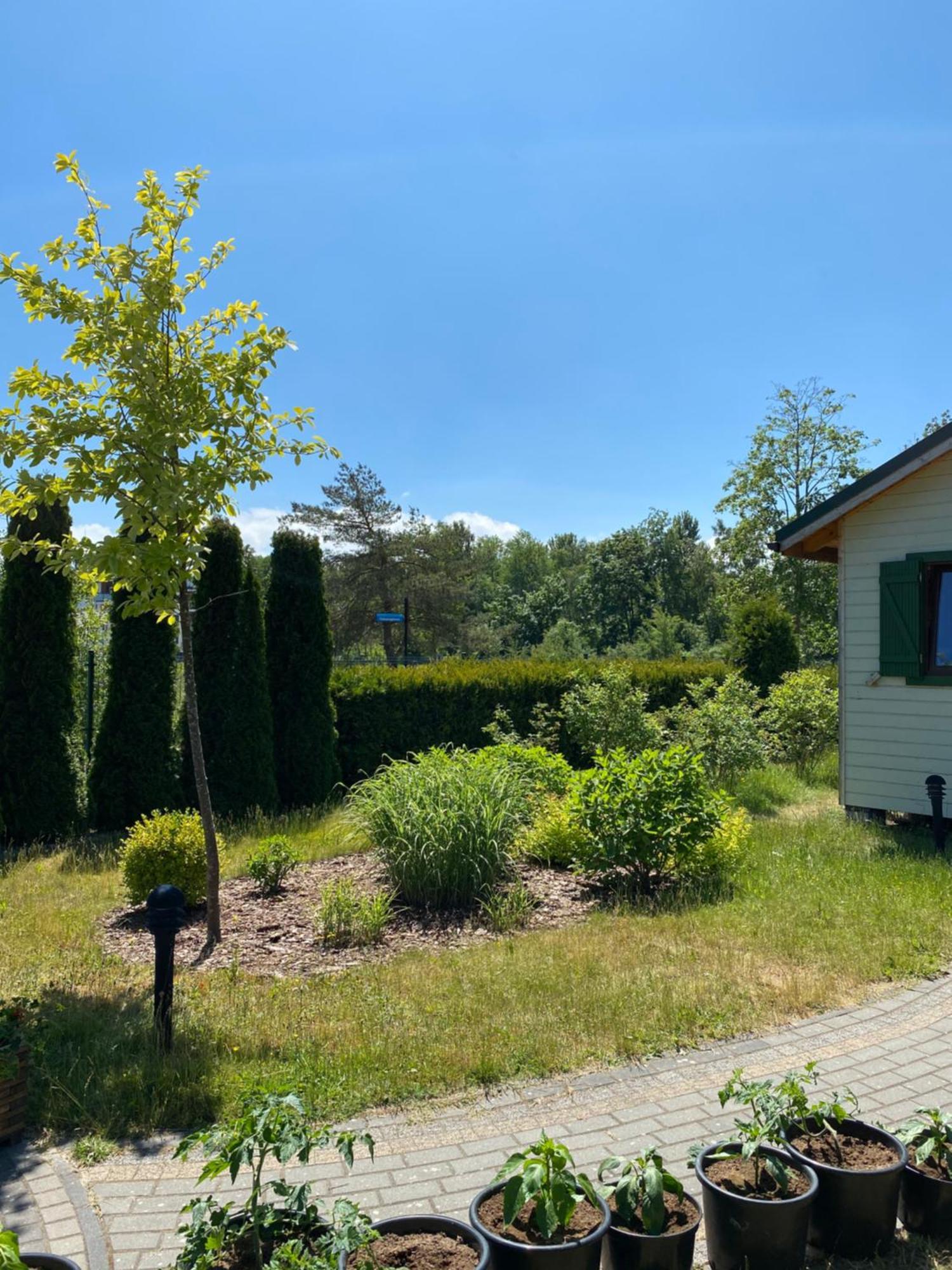 Sloneczna Polana Villa Mielno  Eksteriør billede